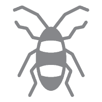 Roach icon