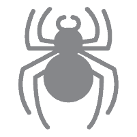 spider icon