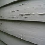 termites damage homes