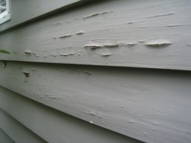 termites damage homes