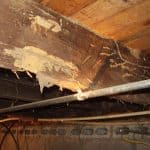 Structural damage from termite