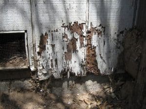 oklahoma city termite control