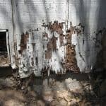 Termite damage to house