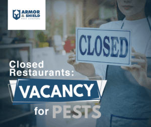 Missing sanitation steps from restaurants and offices contribute to the rapid increase in numbers of pests