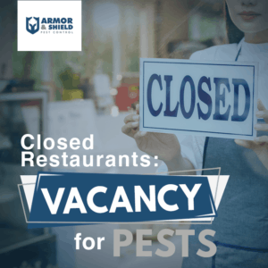 Missing sanitation steps from restaurants and offices contribute to the rapid increase in numbers of pests